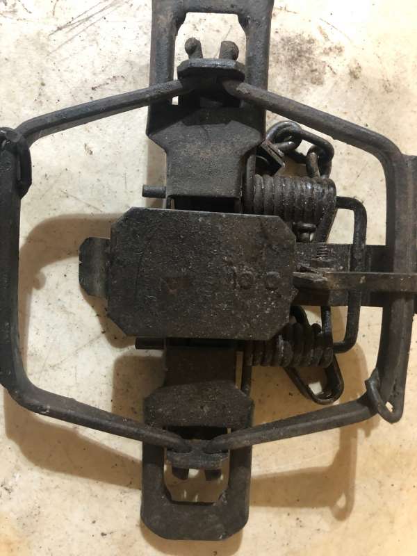 Name: IMG_1657 (1).jpg
Views: 280
Size: 50.54 KB
ID: 24643 IMG_1657 (1).jpg